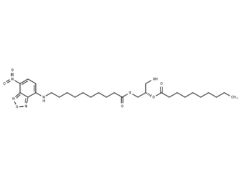 1-NBD-decanoyl-2-decanoyl-sn-Glycerol