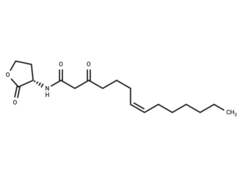 Δ7(Z)-C14-HSL