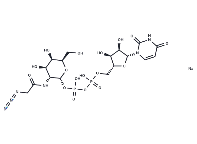 UDP-GalNAz disodium