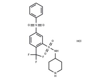 WAY 316606 hydrochloride