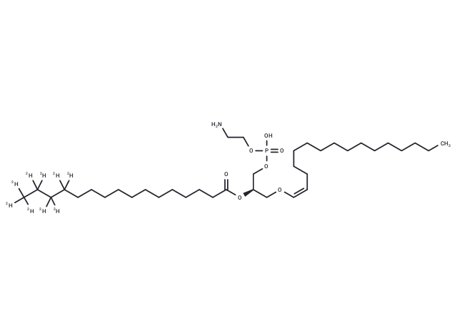 1-1(Z)-Hexadecenyl-2-Palmitoyl-d9-sn-glycero-3-PE
