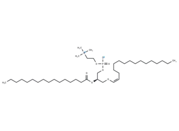 1-1(Z)-Hexadecenyl-2-Palmitoyl-sn-glycero-3-PC