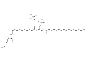 1-Palmitoyl-2-13(S)-HpODE-sn-glycero-3-PC