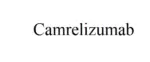 Camrelizumab