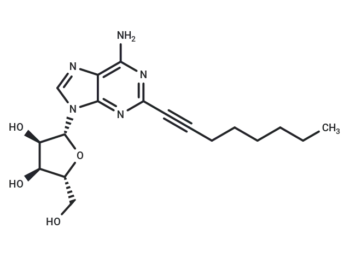 YT 146
