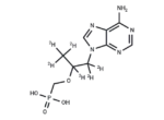 (Rac)-Tenofovir-d6