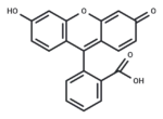 Fluorescein