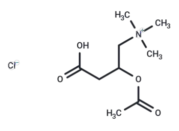 (±)-Acetylcarnitine chloride