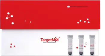 Protein A Immunomagnetic Beads