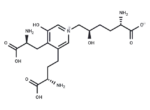 Pyridinoline