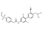 RORγt agonist 4