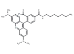 TAMRA amine