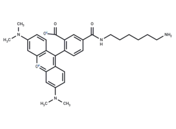 TAMRA amine, 5-isomer