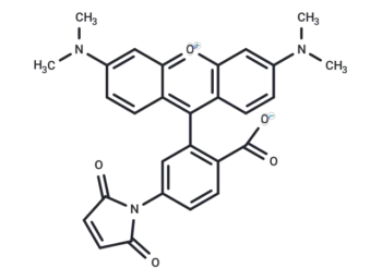 Tetramethylrhodamine-5-maleimide