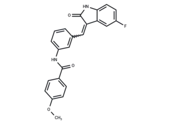 XL44
