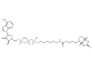 γ-(6-Aminohexyl)-ATP-biotin