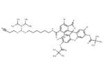 6-TET phosphoramidite 1 6-TET phosphoramidite