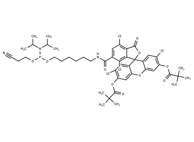 6-TET phosphoramidite CgoaEWa8jp EafBiAAAAANenysw898- Immunomart