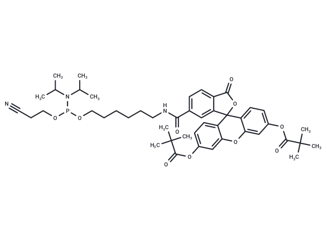 6-Fluorescein phosphoramidite CgoaEWa8jqGEKiskAAAAAOfZ3Zc559- Immunomart