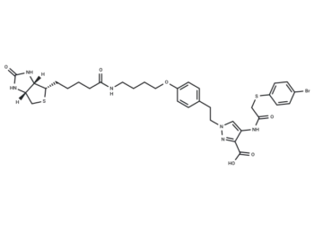 Biotin-tagged KR-33493