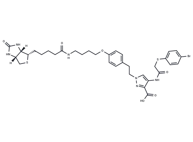 Biotin-tagged KR-33493 CgoaEWa8jr EXFWTAAAAADtUl6I058- Immunomart