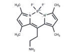 BODIPY FL Ethylamine
