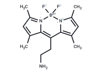 BODIPY FL Ethylamine