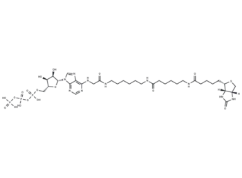 Bio-17-ATP
