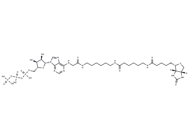 Bio-17-ATP Bio-17-ATP