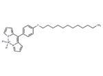 BODIPY-C12