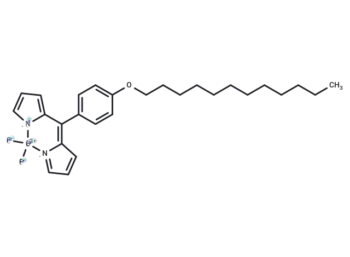 BODIPY-C12