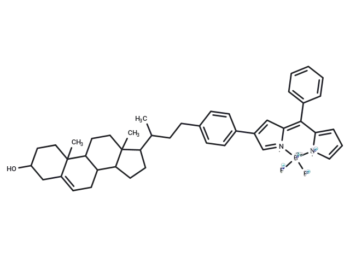 BODIPY-cholesterol conjugate-1