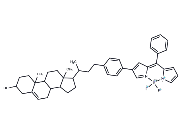 BODIPY-cholesterol conjugate-1 CgoaEWa8jruEXfiBAAAAAPF0FgI557- Immunomart