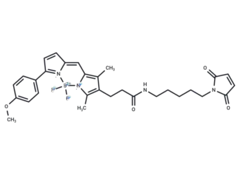 BODIPY TMR C5-maleimide