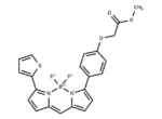 BODIPY TR methyl ester