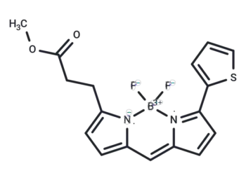 BODIPY R6G methyl ester