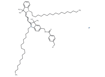 CellTracker CM-DiI