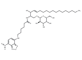 C6 NBD Galactosylceramide