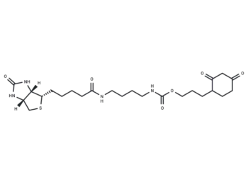 DCP-Bio3