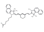 Cyanine7.5 carboxylic