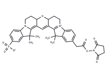 Cy3B NHS ester