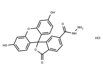 FAM hydrazide, 6-isomer hydrochloride