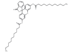 Fluorescein dilaurate