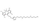 Fluorescent polyamine probe-1
