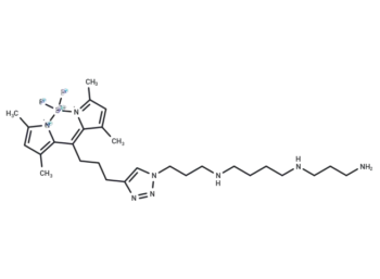 Fluorescent polyamine probe-1
