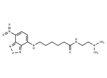 LysoTracker Yellow HCK 123