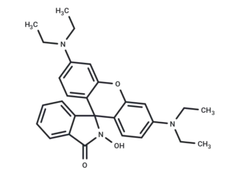 N-hydroxy Rhodamine B amide