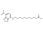 NBD-undecanoic acid