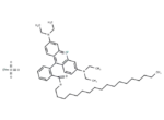 Octadecyl Rhodamine B perchlorate 1 Octadecyl Rhodamine B perchlorate