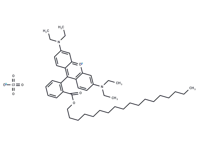 Octadecyl Rhodamine B perchlorate Octadecyl Rhodamine B perchlorate